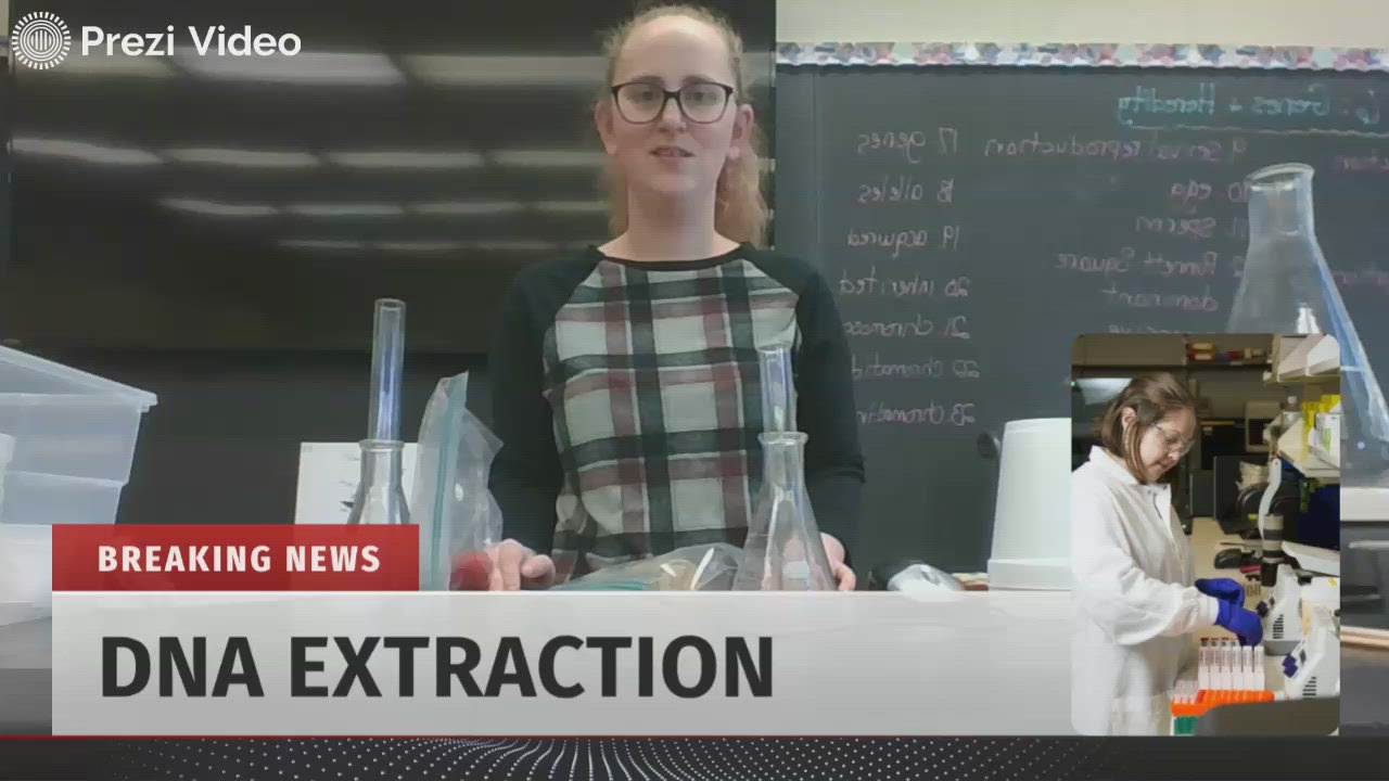 DNA extraction process
